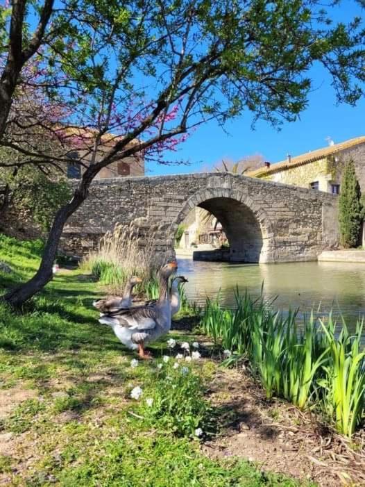 Au Canalet - Le Somail Luaran gambar